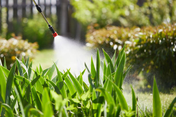 24/7 Emergency Fumigation Services experts in Cadiz, OH